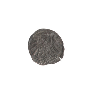 Gdansk denarius, Sigismund II Augustus (King of Poland; 1544–1572). Obverse: in the border the