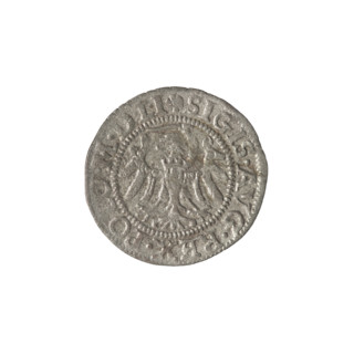 Gdansk szelag, Sigismund II Augustus (King of Poland; 1544–1572). Obverse: Eagle of Royal Prussia;