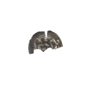 Denarius bracteate, gate II (iconographic): one-sided coin depicting ruins and a gate topped with