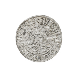 Teutonic groschen, Albrecht Hohenzollern (prince in Prussia; Grand Master; 1490–1568); Wille,