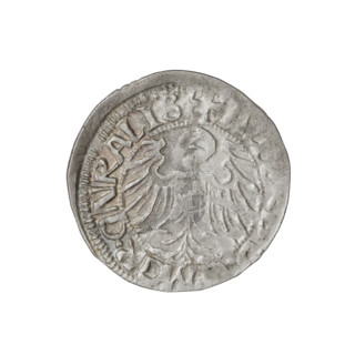Teutonic groschen, Albrecht Hohenzollern (prince in Prussia; Grand Master; 1490–1568); Wille,