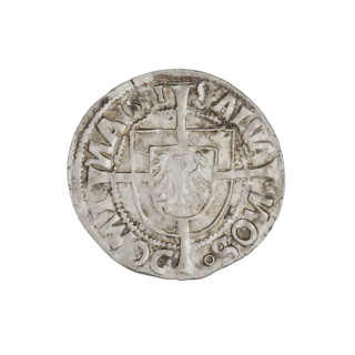 Teutonic groschen, Albrecht Hohenzollern (prince in Prussia; Grand Master; 1490–1568); Wille,