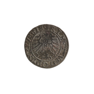 szelag, Nimptsch (Nimsch), Wolf, R (rarity), eagles, rosettes, Hohenzollern (coat of arms),