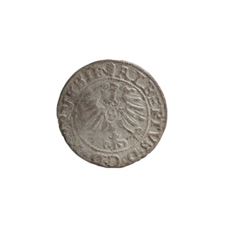 szelag, Nimptsch (Nimsch), Wolf, R (rarity), eagles, rosettes, Hohenzollern (coat of arms),