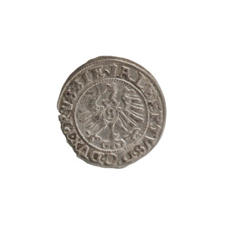 szelag, Nimptsch (Nimsch), Wolf, R (rarity), eagles, rosettes, Hohenzollern (coat of arms),