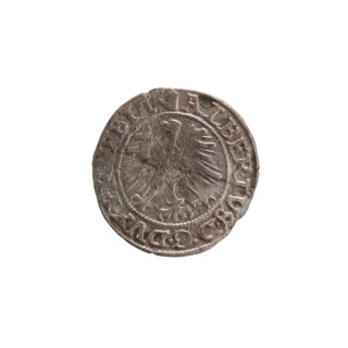 szelag, Nimptsch (Nimsch), Wolf, R (rarity), eagles, rosettes, Hohenzollern (coat of arms),