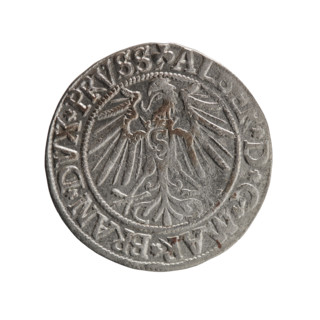 Albrecht Hohenzollern (Prince of Prussia; 1490–1568) depicted on a coin (Ducal Prussia, Königsberg,