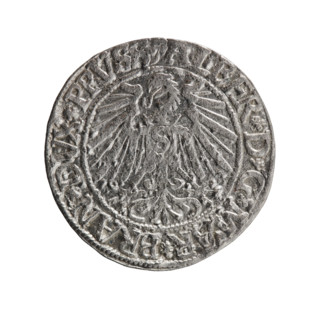 grosz, Schilling, Maciej, R0 (rarity), eagles, Albrecht Hohenzollern (Prince of Prussia; 1490–1568)
