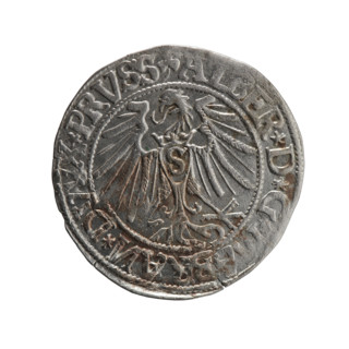 grosz, Schilling, Maciej, R3 (rarity), Albrecht Hohenzollern (Prince of Prussia; 1490–1568) -