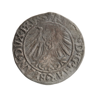 grosz, Schilling, Maciej, publisher, Decjusz, Jost Ludwik (fl. 1528-1535); Albrecht Hohenzollern