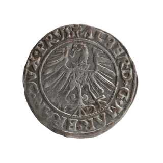grosz, Schilling, Maciej, Albrecht Hohenzollern (Prince of Prussia; 1490-1568) - iconography,