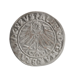 grosz, Schilling, Maciej, Albrecht Hohenzollern (Prince of Prussia; 1490–1568) - iconography,