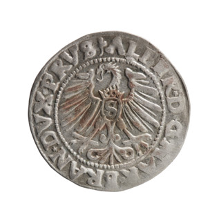 grosz; Schilling, Maciej; eagles; Albrecht Hohenzollern (Prince of Prussia; 1490–1568) —
