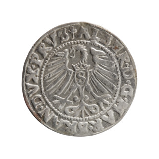 Grosz, Schilling, Maciej. Albrecht Hohenzollern (Prince of Prussia; 1490–1568). Coin (Ducal