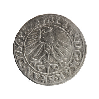 grosz, eagles, Albrecht Hohenzollern (Prince of Prussia; 1490–1568) - iconography, Hohenzollern