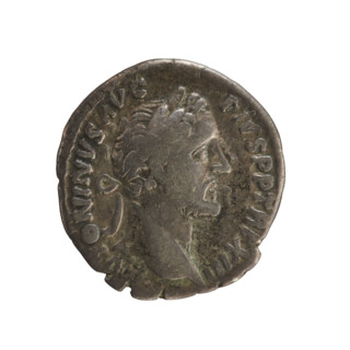 Denarius of Antoninus Pius (86–161; Roman emperor 138–161). Obverse: Emperor's bust in laurel