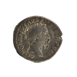 denarius, Antoninus Pius (86–161; Roman emperor 138–161) — iconography: bust, Salus