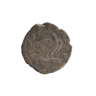 Denarius, posthumous issue of Marcus Aurelius (121–180) and Commodus (161–192). Obverse: Head of