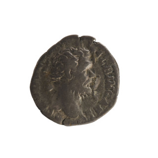 Denarius, Clodius Albinus (ca. 150–197; Roman emperor 193–197), issuer; imperial busts; Roma