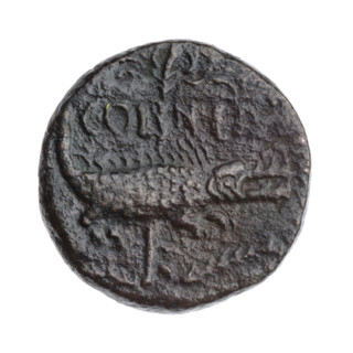 Octavian Augustus (63 BC–14; Roman emperor 27 BC–14), crocodile chained to a palm tree, heads of
