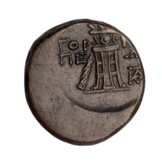bronze coin, Gorgippia; obverse: head of Apollo in a laurel wreath facing right, hair combed up,