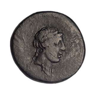 bronze coin, Gorgippia; obverse: head of Apollo in a laurel wreath facing right, hair combed up,