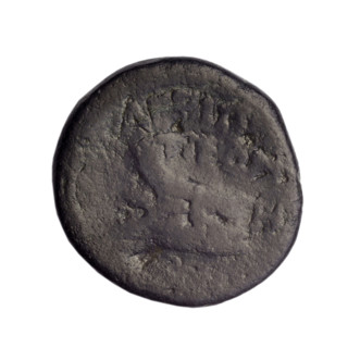 bronze coin, Phanagoria (as Agrippias); head of a woman in a diadem and veil (iconographic);
