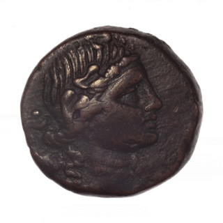 bronze coin, Pantikapaion; obverse: head of young Dionysus in an ivy wreath facing right; reverse: