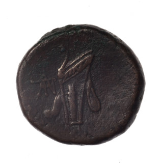 bronze coin, Pantikapaion; obverse: head of young Dionysus in an ivy wreath facing right; reverse: