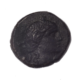 bronze coin, Pantikapaion; obverse: head of young Dionysus in an ivy wreath facing right; reverse: