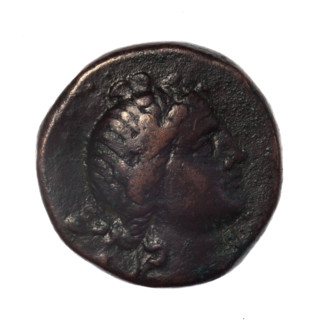 bronze coin, Pantikapaion; obverse: head of young Dionysus in an ivy wreath facing right; reverse: