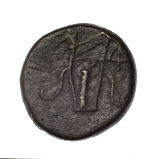 bronze coin, Pantikapaion; obverse: head of young Dionysus in an ivy wreath facing right; reverse: