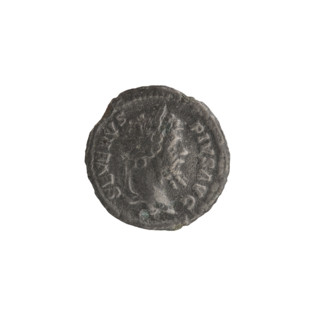 Denarius (unofficial), Dea Caelestis on a lion; Septimius Severus (Roman emperor, 146–211) —