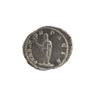 Denarius, standing emperor, Septimius Severus (Roman emperor; 146–211) — iconography: branch
