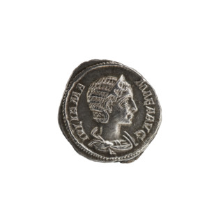 Denarius, Alexander Severus (208–235; Roman emperor 222–235). Obverse: IVLIA MA MAEA AVG — Bust of