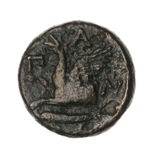 bronze coin, Pantikapaion, protoma of a griffin (iconographic), head of a Satyr (iconographic),