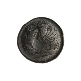 Bronze coin, Pantikapaion; obverse: head of a bearded Satyr without a wreath to the right; reverse: