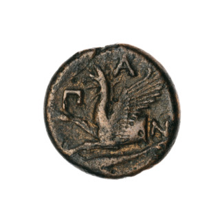 bronze coin, Pantikapaion; obverse: head of a bearded Satyr without a wreath to the right; reverse: