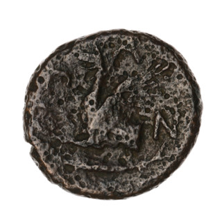 Bronze coin from Pantikapaion (Cimmerian Bosporus), 330–315 BC. Obverse: head of a bearded Satyr
