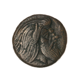 Bronze coin, Pantikapaion; obverse: head of a bearded Satyr without a wreath facing right; reverse: