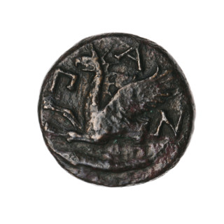 Bronze coin, Pantikapaion; obverse: head of a bearded Satyr without a wreath facing right; reverse: