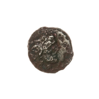 Bronze coin, Pantikapaion; obverse: head of beardless Satyr to the right; reverse: protoma of