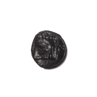 Bronze coin, Pantikapaion; obverse: head of beardless Satyr to the right; reverse: bull's head to