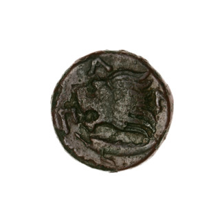 bronze coin, Pantikapaion; obverse: head of a beardless Satyr in an ivy wreath facing left;
