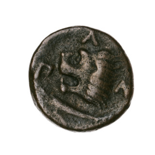 bronze coin, Pantikapaion, lion head (iconographic), Satyr's head (iconographic), Black Sea, Satyr