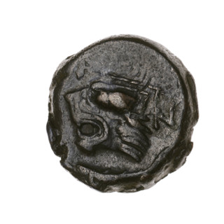 Bronze coin, Pantikapaion, head of a beardless Satyr in an ivy wreath facing left, with a
