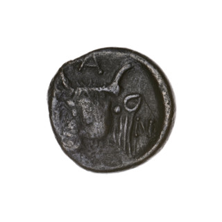 Bronze coin, Pantikapaion; obverse: head of bearded Satyr facing left; reverse: bull's head facing