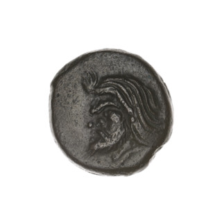 bronze coin, Pantikapaion; obverse: head of a bearded Satyr to the left; reverse: bull's head to