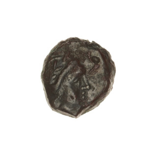 bronze coin, Pantikapaion, eagles, head of Apollo (iconographic), Black Sea, birds, Apollo