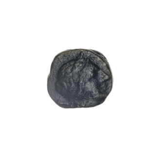 drachma, Pantikapaion, eagles, head of Apollo (iconographic), Black Sea, birds, Apollo (mythology),